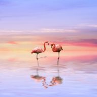 Фреска розовый фламинго