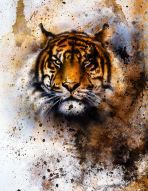 Фреска Нарисованный в акварельном стиле тигр