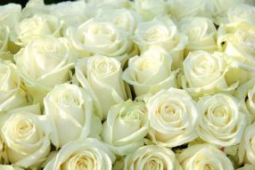 Фреска Букет белых роз